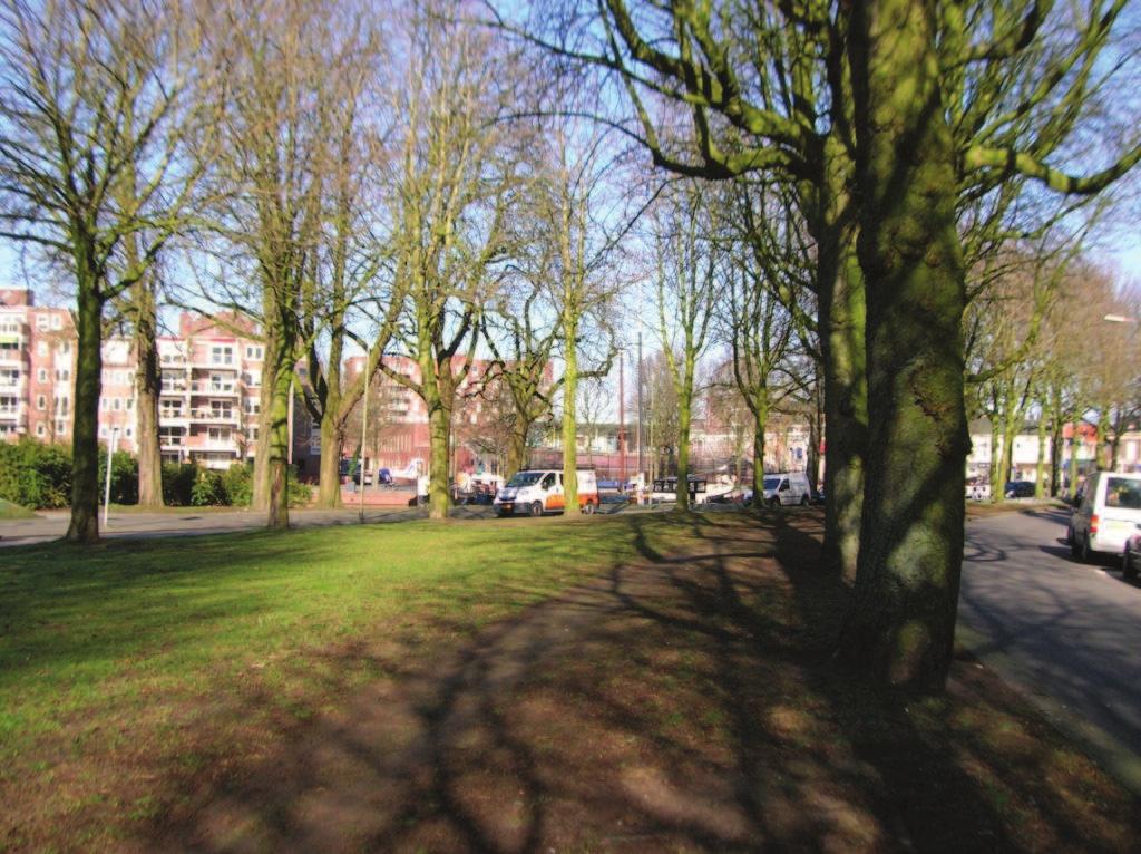 Groenadvies Amsterdam bv Boomonderzoek Singels te Groningen 2 ONDERZOEKSRESULTATEN De locatie van de onderzochte bomen is samen met de boomnummering weergegeven op bijlage 1, de overzichtstekening.