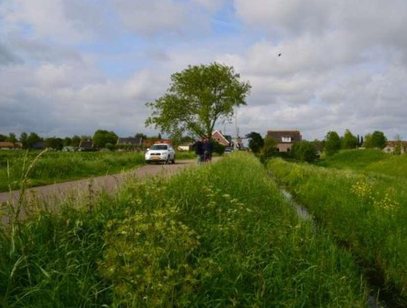 Projectplan Kadeverbetering Geerweg Gemeente Pijnacker-Nootdorp Opsteller: C. Woltering en M.