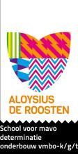 Op woensdag 14 december zijn er Inspirion Workshops (minilessen) op Aloysius De Roosten, een vmbo-t school in Eindhoven. Adres: Saenredamstraat 2, 56 43 RR Eindhoven. Tijd 14:00-16:00 uur.