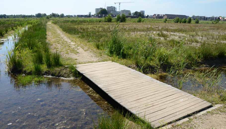 Factsheet Apeldoorn Apeldoorn Park Zuidbroek Doel: Wat levert de aanleg op van een park dat grenst aan de in aanbouw zijnde woonwijk Zuidbroek.