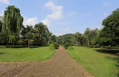 De Kebun Raya Bogor is de oudste en nog steeds vooraanstaande botanische tuin van Indonesië, met een oppervlakte van 87 hectare. In 1817 werd door dr.