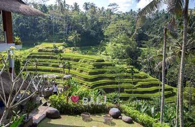 De Rondreis Avontuurlijk Bali is een 21-daagse individuele rondreis. We beginnen aan het strand van Kuta, hier kunt u acclimatiseren en tot rust komen. Hierna reizen we verder naar Ubud.