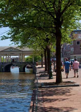 Bomen en groen Een bomenrij op beide kades heeft eeuwenlang (in verschillende vormen) mede het straatbeeld bepaald.