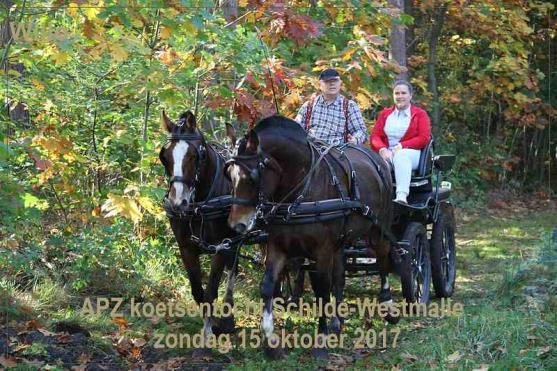 Vergadering van 31 oktober 2017 APZ Koetsentocht Schilde - Westmalle Op 15 oktober 2017 heeft het APZ een koetsentocht georganiseerd tussen Schilde en Westmalle.