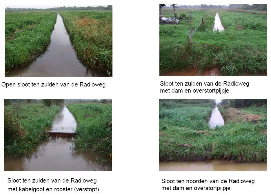 Vergunde peilafwijkingen In twee compartimenten in het zuiden van de Horstermeerpolder heeft het waterschap een vergunning aan Natuurmonumenten verleend voor peilopzet (bijlage 4).