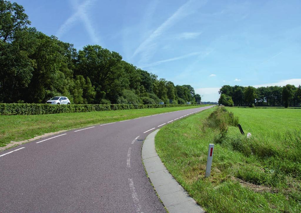 Hiermee sluiten we aan bij de boomgroepen die er al staan en krijgt de entree naar Wierden een duidelijk eigen gezicht.