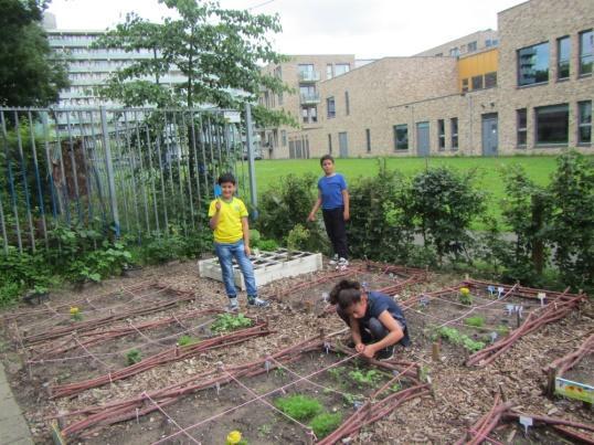 GROENE KINDEREN In Venserpolder achter het eerder genoemde buurthuis Anansi verandert het terrein in een groen landschap door het werk van 15 kinderen die onder leiding van vrijwilligers leren hoe je