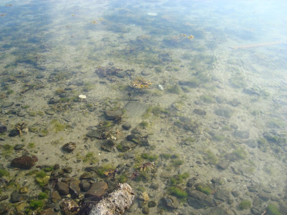 Vakantie in Denemarken door Frits Zandvoort Dit jaar zijn we weer eens naar het noorden afgereisd, naar Denemarken, en dit keer aan de Oostzee kant.