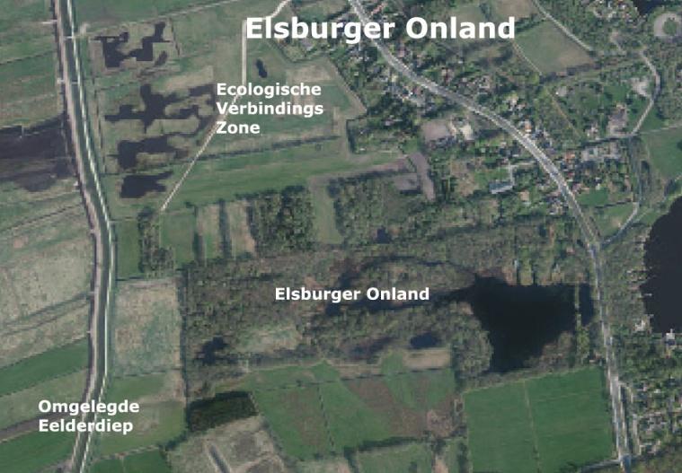 Het Elsburger Onland grenst aan het veel grotere natuurgebied De Onlanden, gelegen ten zuidwesten van de stad Groningen, dat zich uitstrekt van het Elsburger Onland in het Oosten tot voorbij het