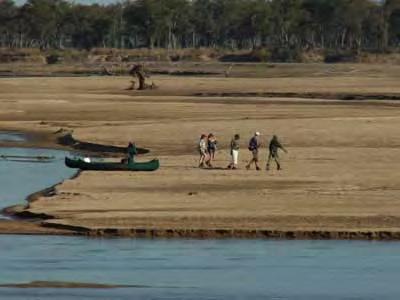 The Chikoko Walking Trail 10 dagen Zambia South Luangwa Chikoko Walking Trail Individuele reis totale reisduur 10 dagen Vertrek is mogelijk op elke gewenste data Hoogtepunten: South Luangwa NP: