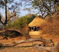 Elk chalet is open-fronted en voorzien van en-suite toilet en douche. Bij het ontwaken kunt u vanuit uw bed soms al enig wild spotten.