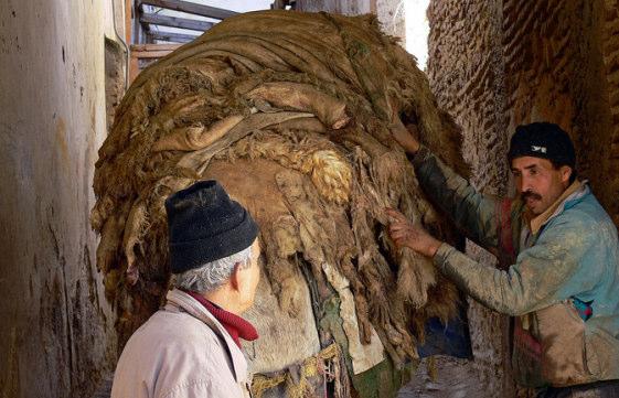 De Leerlooierijen van Fez UNESCO erfgoed en plek waar op de eeuwenoude manier koeienleer wordt bewerkt De vervaardiging van een