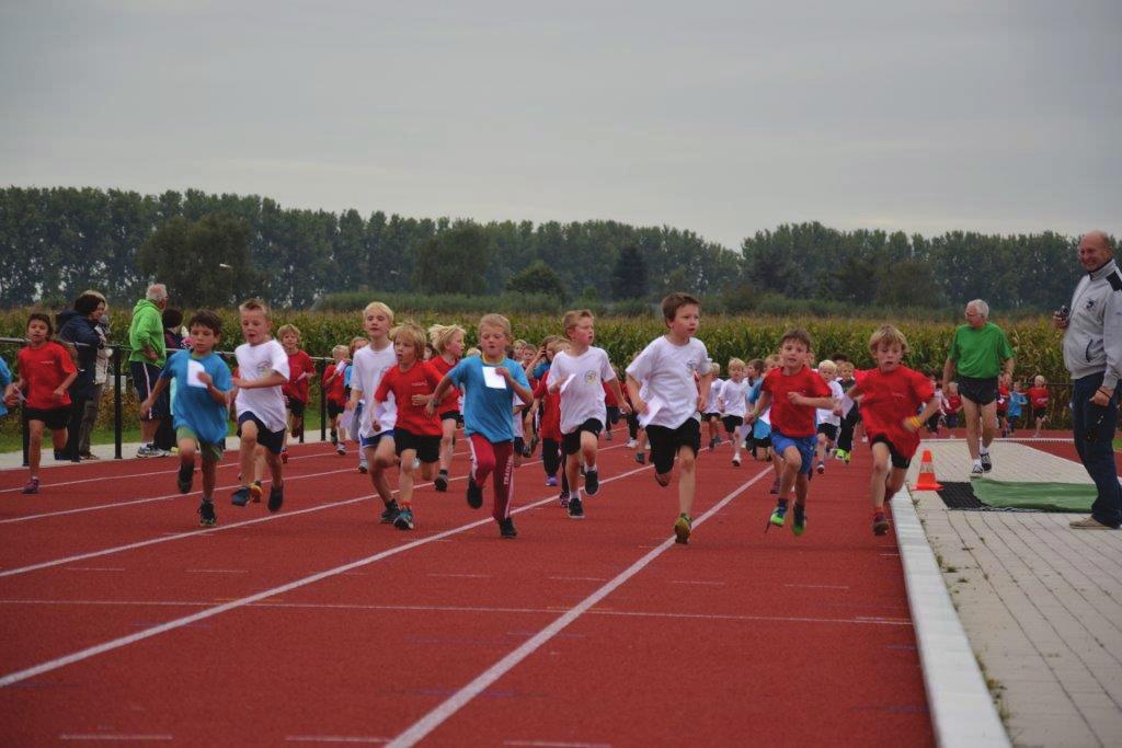 Dit was een initiatief van de Stichting Vlaamse Schoolsport (SVS), de Gooikse sportdienst, Atletiek Club Pajottenland en de Gooikse scholen.