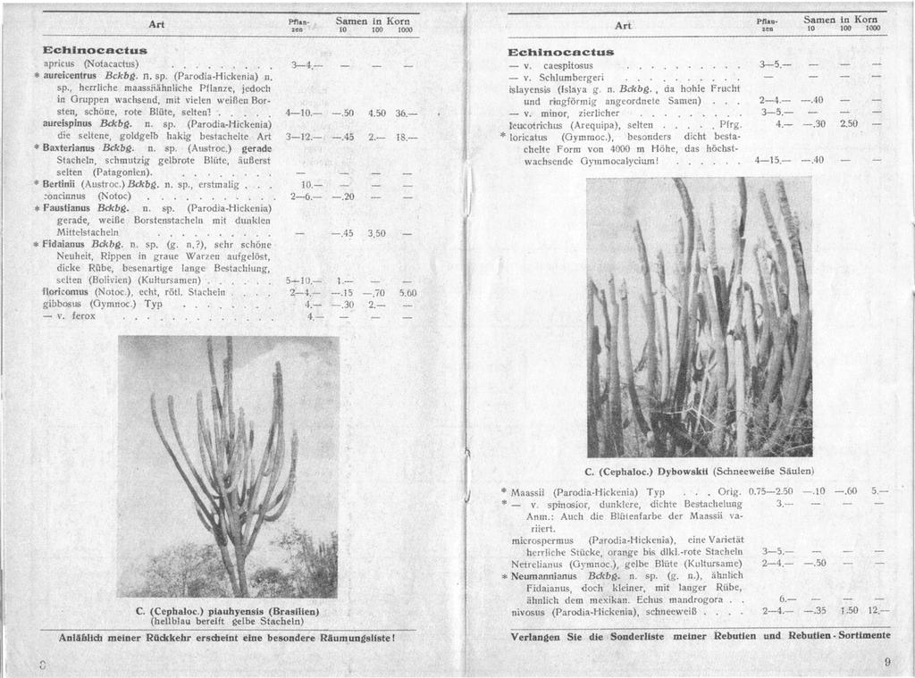 Afb. 3: Kakteenpreisliste pag. 8 en 9 aanbiedt (afb. 2 en 3). Daaronder ook de twee onderhavige soorten. Onder de kop Echinocactus worden onder andere aangeboden: Fidaianus Bckbg. n.