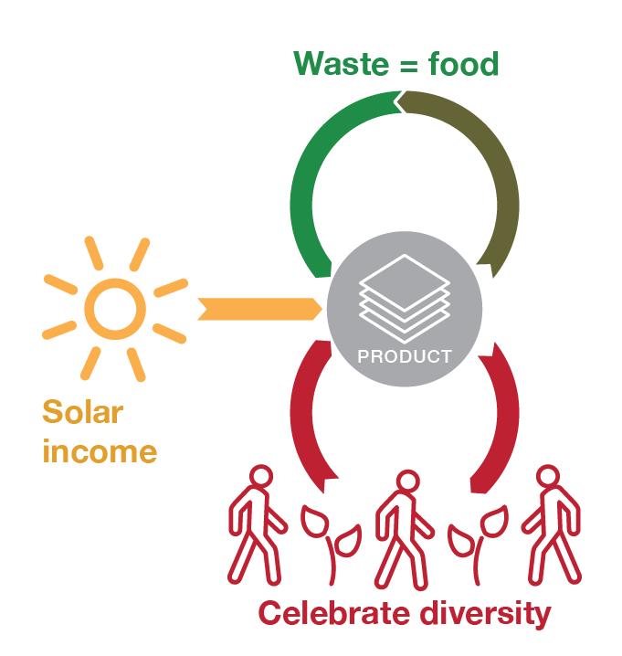 The three Cradle to Cradle principlest Waste equals food Nutrients become nutrients again and again Current solar