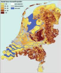 Regenwormen komen vooral voor in grasland op klei of veen.