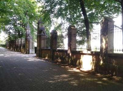 Langs weerszijden van de centrale as op het oudste deel van de begraafplaats werden in het verleden bomen aangeplant.