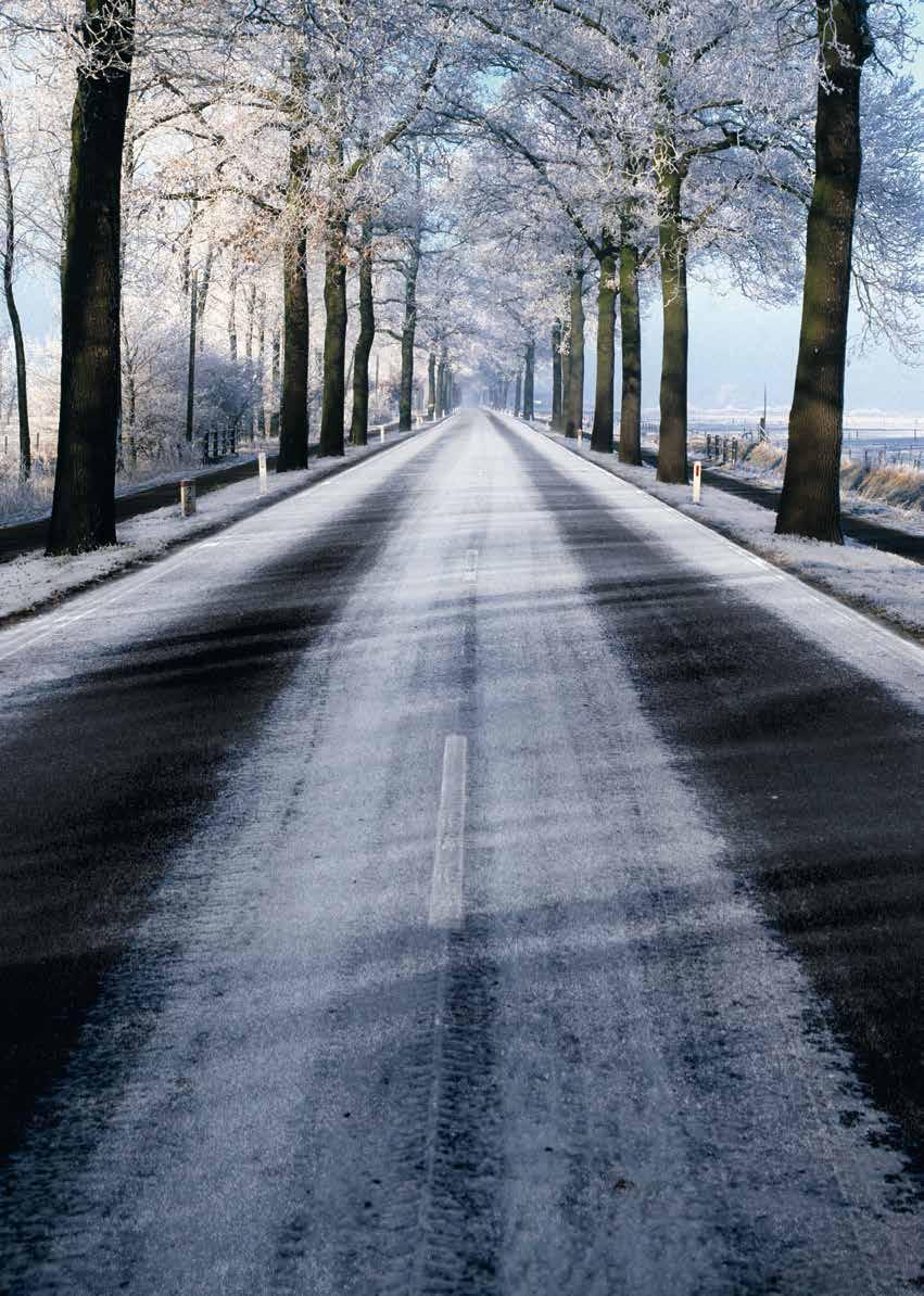 Choose the shortest braking distance on wet or snowy roads.