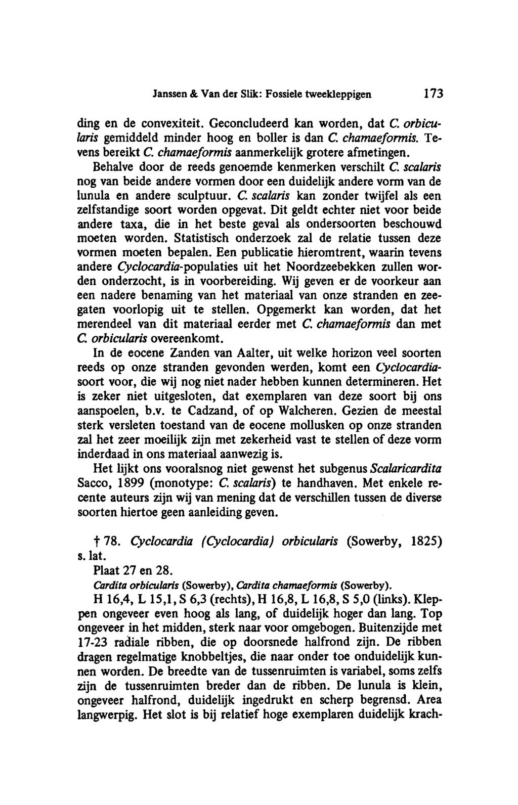 Janssen & Van der Slik: Fossiele tweekleppigen 173 ding en de convexiteit. Geconcludeerd kan worden, dat C. orbicularis gemiddeld minder hoog en boller is dan C. chamaeformis. Tevens bereikt C.