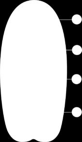 (2) 2.4 Bestudeer die onderstaande diagram van die deursnit van n saad van n blomplant en beantwoord die vrae wat volg. [9] 2.4.1 Identifiseer die dele a, b en c. (3) 2.4.2 Noem TWEE maniere waarop sade aangepas is om vir lang tydperke te oorleef.