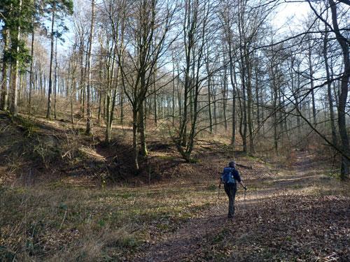 Achter het dorp aan de noordzijde ligt Röwekamp, (invoeren navigatie), recht onder de grote zendmast boven op de berg die vanuit het hele stadje te zien is.