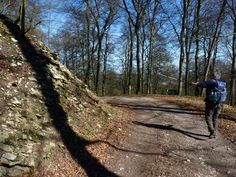 Daar om de hoek kunnen we een 'Natur Denkmal' bekijken, de Kalksteinklippen van de Hohnagel compleet met informatiebord.