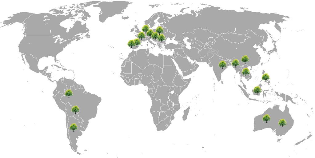 productielanden Beukenboom: Nederland - Frankrijk -