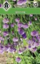 Verklaring van de tekens: v = bijenplant s = vlinderplant Anijs, Pimpinella anisum enjarig keukenkruid met mooie schermbloemen. Hoogte: 45 cm. Zaaitijd: 4-6. Bloeitijd: 6-8.
