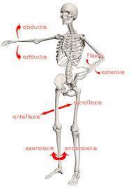 Histologie: