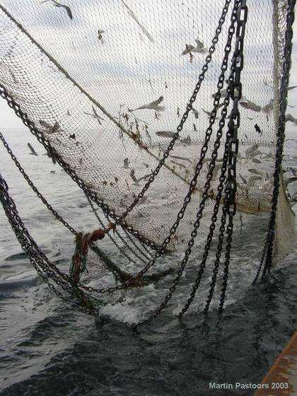 V netten worden het meest gebruikt in de Nederlandse vloot. Kettingmatten worden vooral in het zuiden gebruikt in gebieden waar veel stenen liggen.