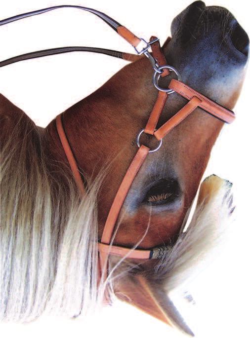 nr. 0313051 shire art.nr. 0313052 pony art.nr. 0313054 middel art.nr. 0313056 paard bruin leder art.