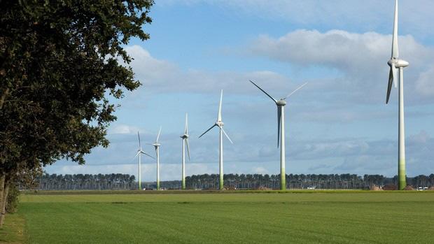 Bomen rondom rwzi en Robijnsweg -