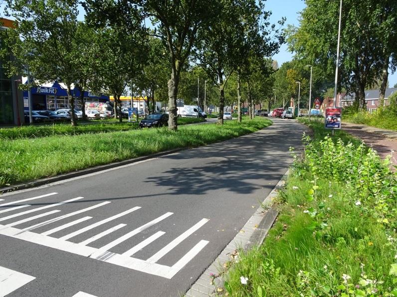 Beheer van de bermen Vanuit perspectief van wilde bijen is het maaien en afvoeren van bermen nodig om de vegetatiestructuur te verschralen en de bloemenrijkdom te laten toenemen, maar de