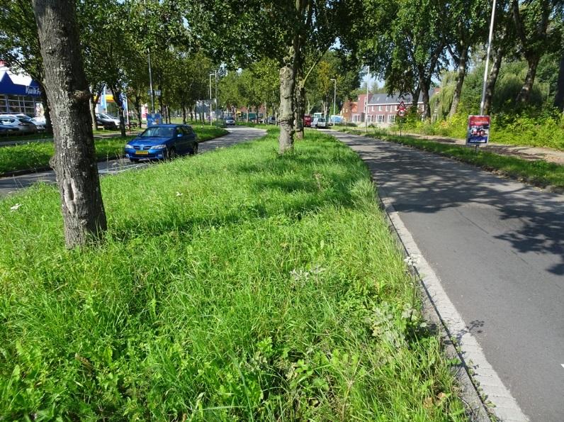 Dit komt doordat tijdens per proces direct wilde bijen en vele andere insecten dood gaan, maar ook doordat de aard van de vegetatie sterk wordt veranderd (foerageergebied, schuil- en