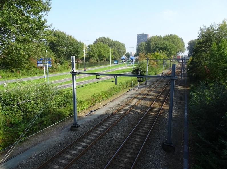 gewerkt en inheemse planten in aantal