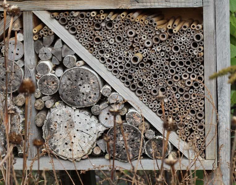 Ook zweefvliegen, dagvlinders en vele andere insecten profiteren van de voorgestelde maatregelen. Bijenhotels Figuur 2. In de voorbeeldtuin zijn verschillende typen bijenhotels aanwezig.