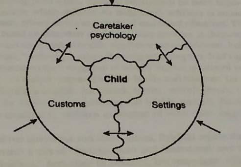 Parental Beliefs and Practices Wat vormt de ontwikkeling van het jonge kind? 1.