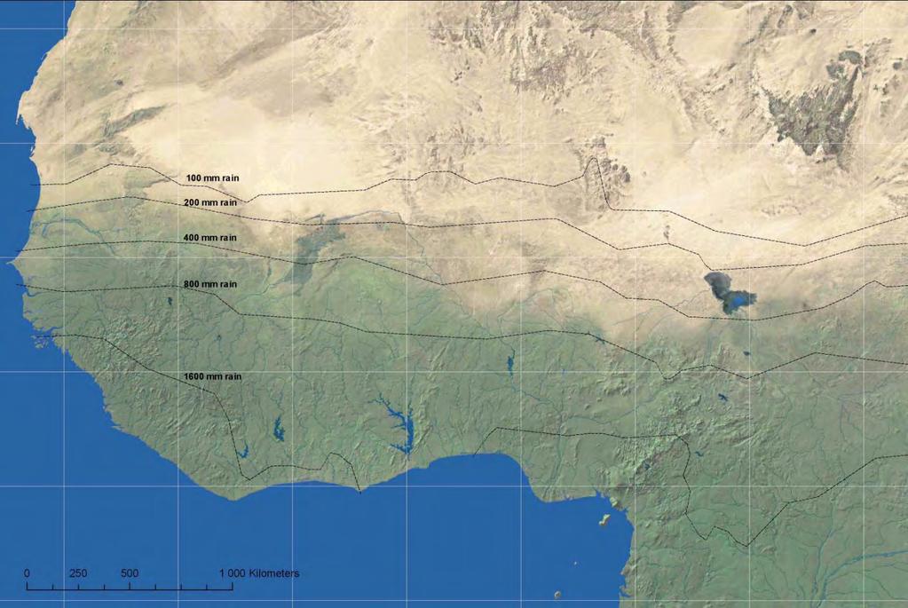 Sahel: overgangszone tussen woestijn en regenwoud Groot