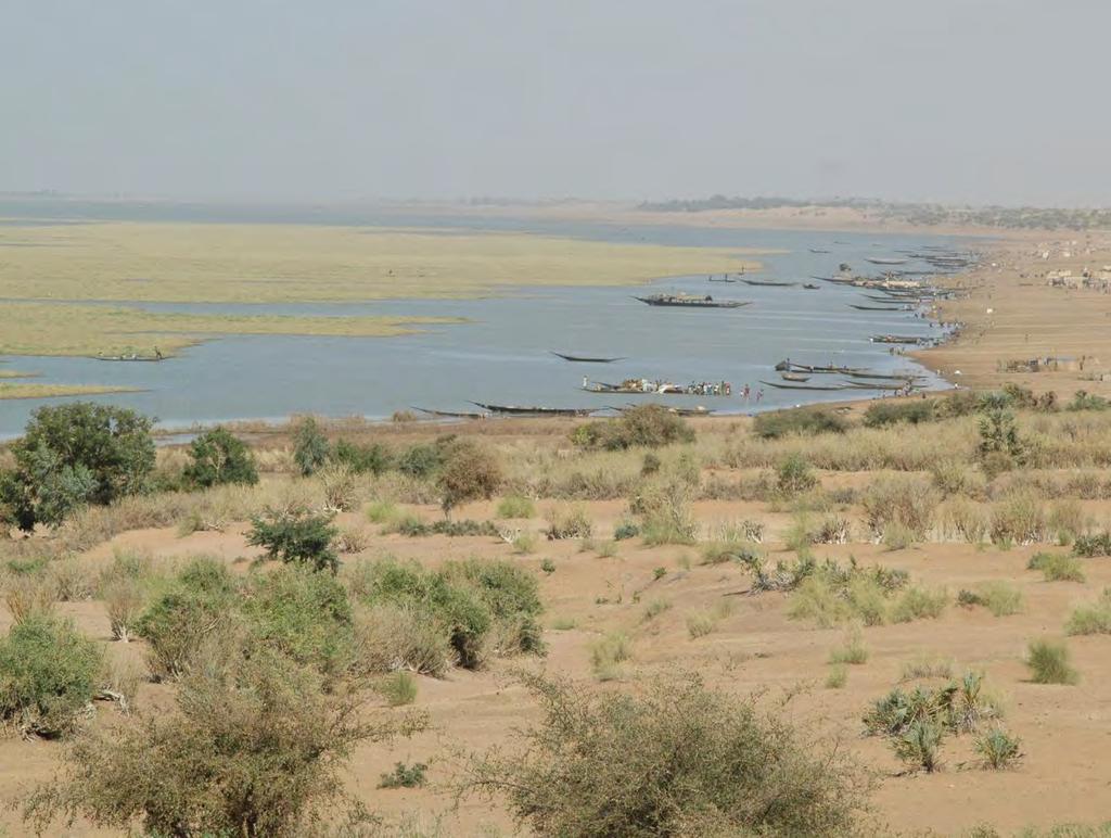 Sahel is probleemgebied voor vogels