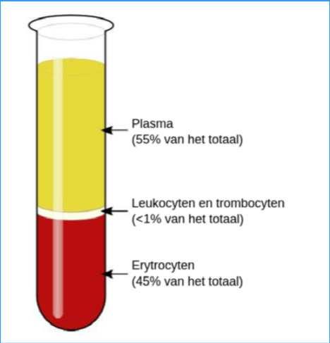 Can peripheral blood be used to determine the presence of the tumor?