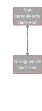 Customer Energy Management System DM (E): digitale