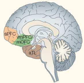 , Nature Rev Neurosci, 2005 Frontotemporale neurocognitieve stoornis DSM5 Gedragsvariant: 3 gedragssymptomen i. Ontremd gedrag ii.