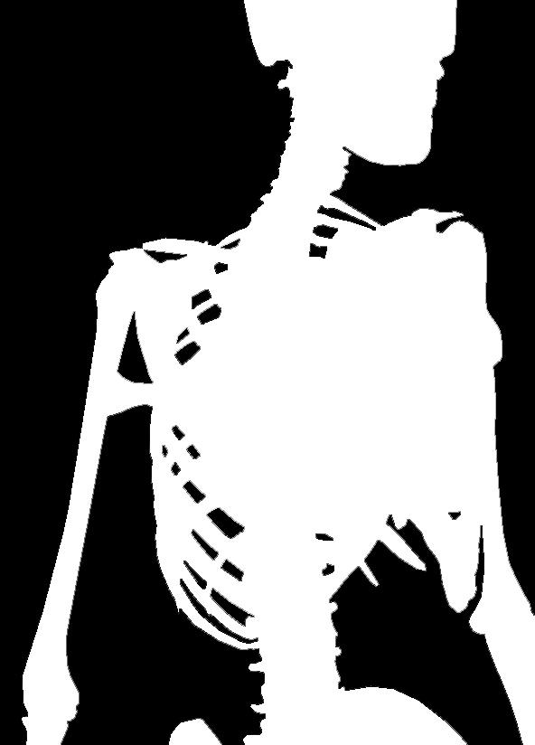 Crista tuberculi majoris (voorzijde humerus) Functie(s) -