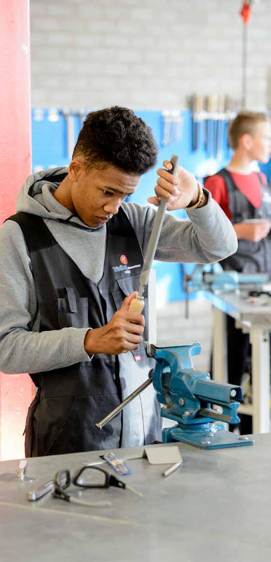 Bl in de bovenbouw De leerlingen van de beroepsgerichte leerweg kunnen een keuze maken uit drie afdelingen: Techniek, Dienstverlening & Producten en Zorg & Welzijn en negen talentlijnen.