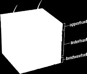 producten? Wat kan ik met de Multipullen?