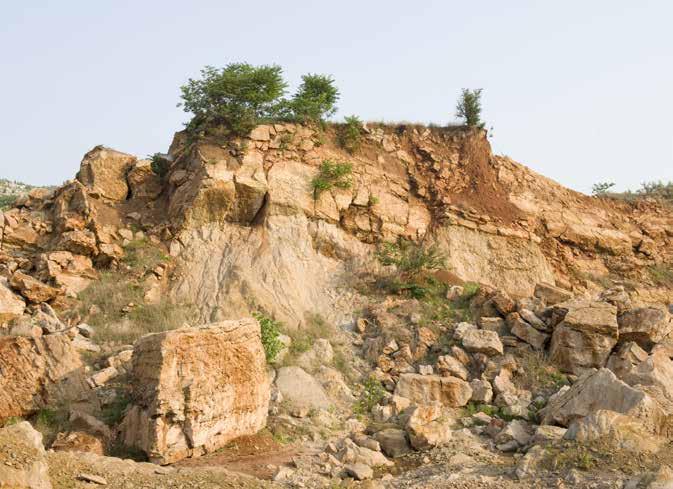 HET NATUURFENOMEEN Het bijzondere aan Mineral is de geslaagde combinatie van een massastabiele minerale* draagplaat en de robuuste oppervlakte afwerking.