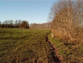 Bos, landschap, bebouwde omgeving Biomassa oogst (incl haardhout)