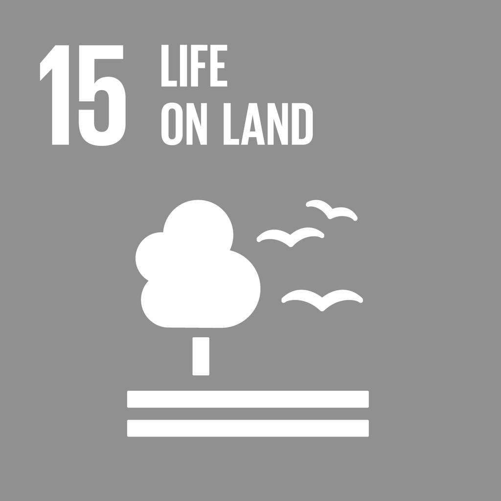 Development Goals (SDG s)