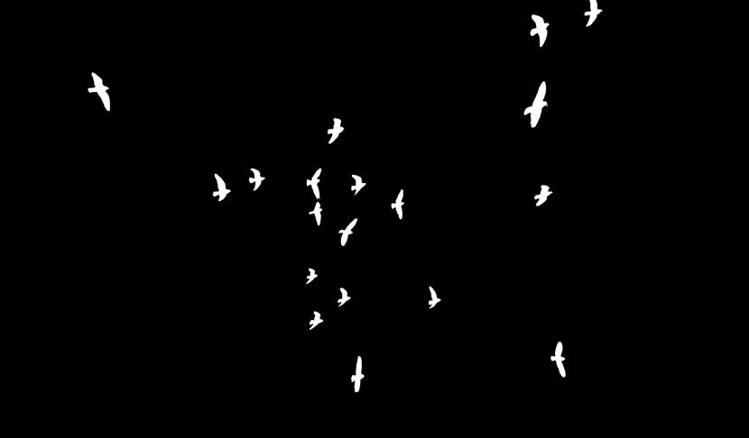 Zaterdag 19 juli 2014 BRIVE oude duiven & jaarlingen Samedi 19 juillet 2014 BRIVE vieux pigeons & yearlings INKORVING op WOENSDAG 16 juli 2014 LOSSING op ZATERDAG 19 juli 2014 COORDINATEN +45 10 36 /