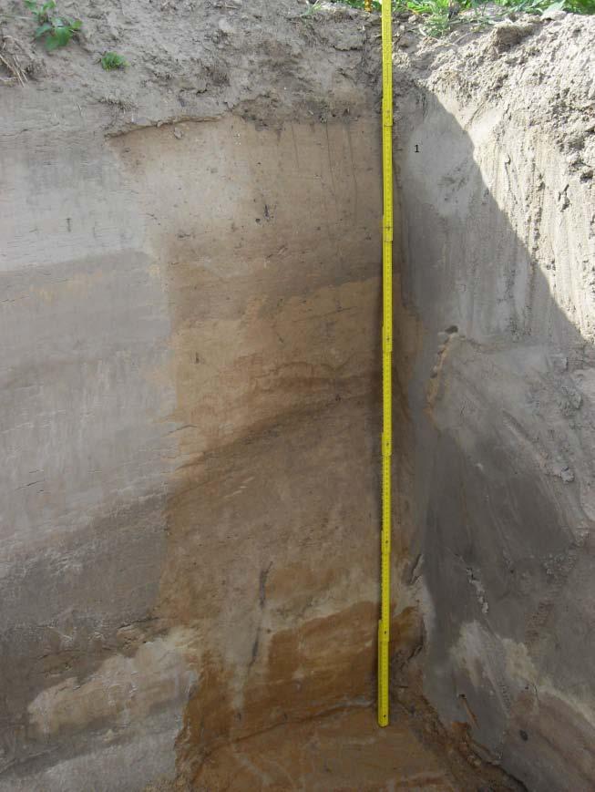 Deze bodems worden grijsbruine podzolachtige of uitgeloogde gronden genoemd; ze worden omschreven als (zand) leem gronden met textuur B horizont 9. Het eerste profiel staat voor een Lcc bodem (fig.
